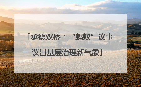承德双桥：“蚂蚁”议事 议出基层治理新气象