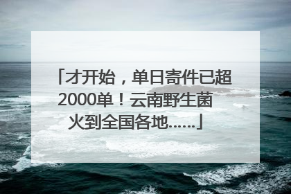 才开始，单日寄件已超2000单！云南野生菌火到全国各地……