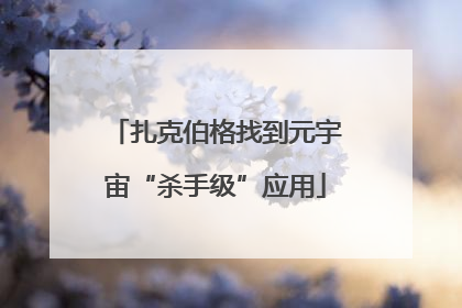 扎克伯格找到元宇宙“杀手级”应用