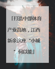 打造中部体育产业高地，江西新余这座“小城”何以能