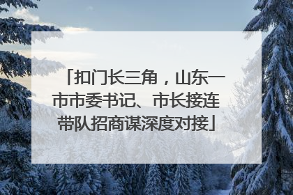 扣门长三角，山东一市市委书记、市长接连带队招商谋深度对接