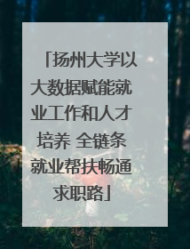 扬州大学以大数据赋能就业工作和人才培养 全链条就业帮扶畅通求职路