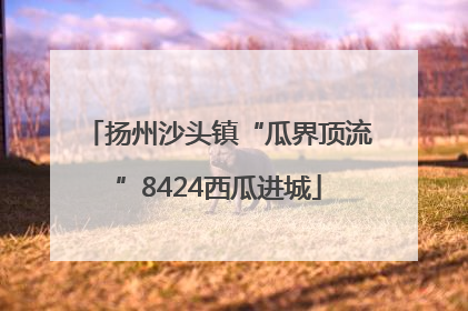 扬州沙头镇“瓜界顶流”8424西瓜进城