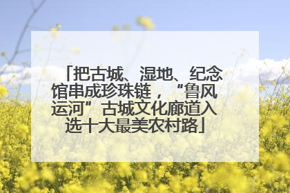 把古城、湿地、纪念馆串成珍珠链，“鲁风运河”古城文化廊道入选十大最美农村路