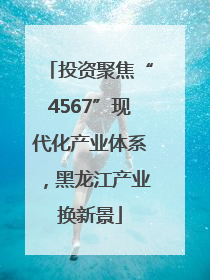 投资聚焦“4567”现代化产业体系，黑龙江产业换新景