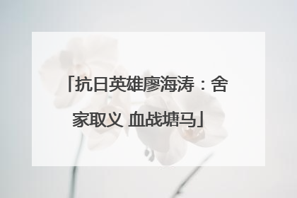 抗日英雄廖海涛：舍家取义 血战塘马