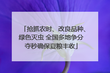 抢抓农时、改良品种、绿色灭虫 全国多地争分夺秒确保夏粮丰收