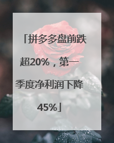 拼多多盘前跌超20%，第一季度净利润下降45%