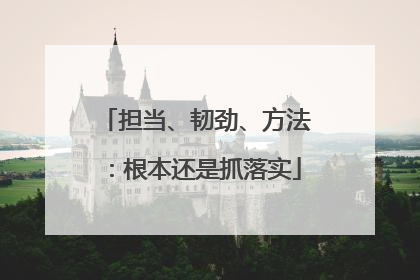 担当、韧劲、方法：根本还是抓落实