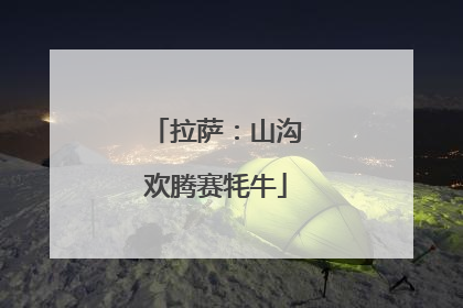 拉萨：山沟欢腾赛牦牛