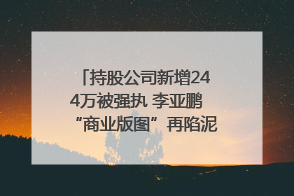 持股公司新增244万被强执 李亚鹏“商业版图”再陷泥潭？｜科技观察