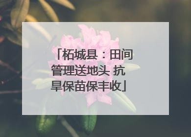 柘城县：田间管理送地头 抗旱保苗保丰收