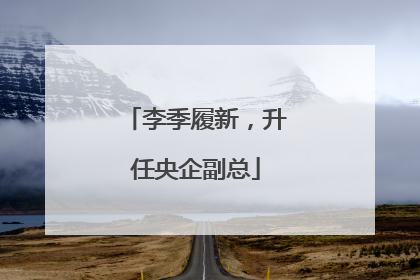 李季履新，升任央企副总