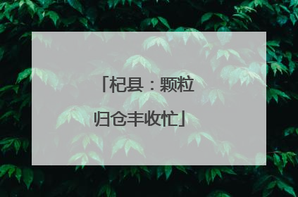 杞县：颗粒归仓丰收忙