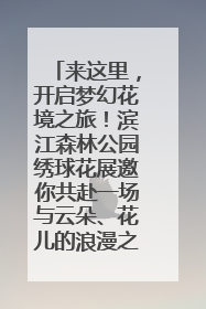 来这里，开启梦幻花境之旅！滨江森林公园绣球花展邀你共赴一场与云朵、花儿的浪漫之约