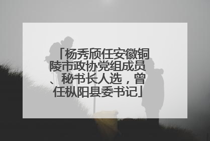 杨秀颀任安徽铜陵市政协党组成员、秘书长人选，曾任枞阳县委书记