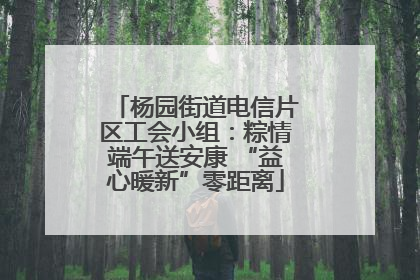 杨园街道电信片区工会小组：粽情端午送安康 “益心暖新”零距离