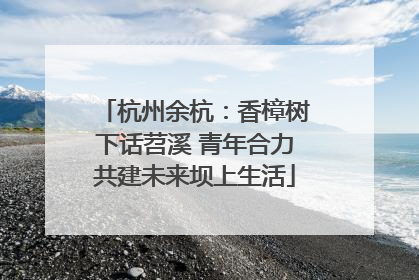 杭州余杭：香樟树下话苕溪 青年合力共建未来坝上生活