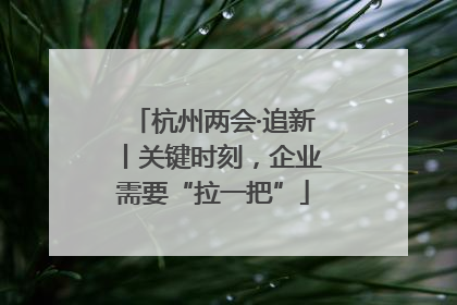 杭州两会·追新丨关键时刻，企业需要“拉一把”