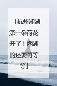 杭州湘湖第一朵荷花开了！西湖的还要再等等