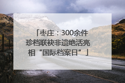枣庄：300余件珍档联袂非遗绝活亮相“国际档案日”