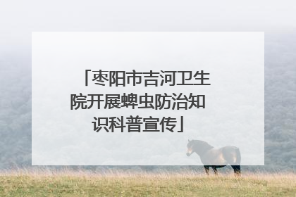 枣阳市吉河卫生院开展蜱虫防治知识科普宣传