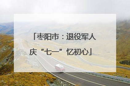 枣阳市：退役军人庆“七一”忆初心