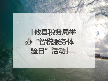 攸县税务局举办“智税服务体验日”活动
