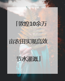 敦煌10余万亩农田实现高效节水灌溉