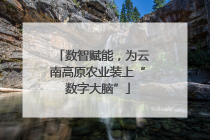 数智赋能，为云南高原农业装上“数字大脑”