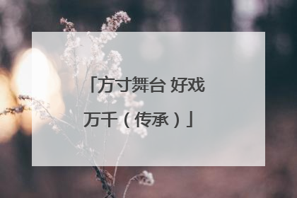 方寸舞台 好戏万千（传承）