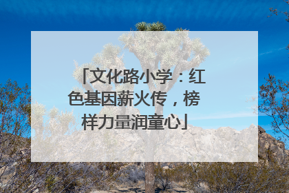 文化路小学：红色基因薪火传，榜样力量润童心