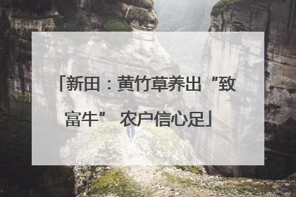 新田：黄竹草养出“致富牛” 农户信心足