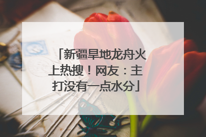 新疆旱地龙舟火上热搜！网友：主打没有一点水分