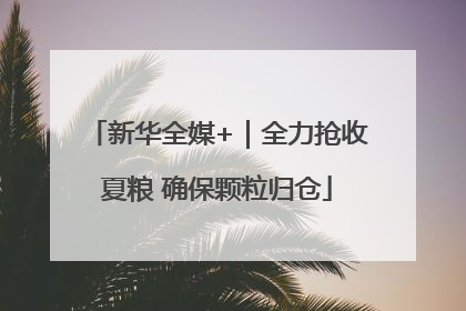 新华全媒+｜全力抢收夏粮 确保颗粒归仓