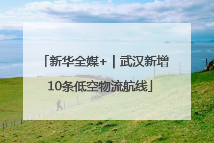 新华全媒+｜武汉新增10条低空物流航线
