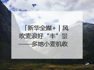 新华全媒+｜风吹麦浪好“丰”景——多地小麦机收一线见闻