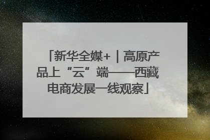 新华全媒+｜高原产品上“云”端——西藏电商发展一线观察
