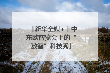 新华全媒+丨中东欧博览会上的“数智”科技秀