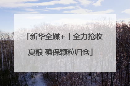 新华全媒+丨全力抢收夏粮 确保颗粒归仓