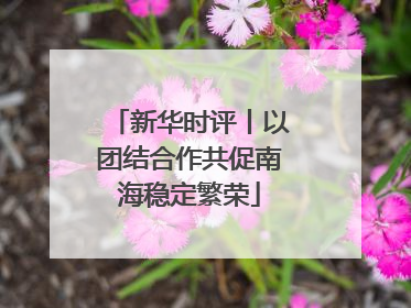 新华时评丨以团结合作共促南海稳定繁荣