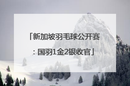 新加坡羽毛球公开赛：国羽1金2银收官