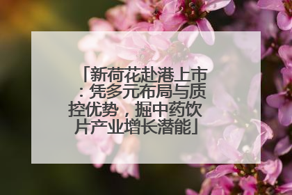 新荷花赴港上市：凭多元布局与质控优势，掘中药饮片产业增长潜能
