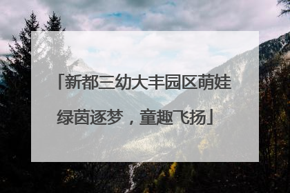 新都三幼大丰园区萌娃绿茵逐梦，童趣飞扬