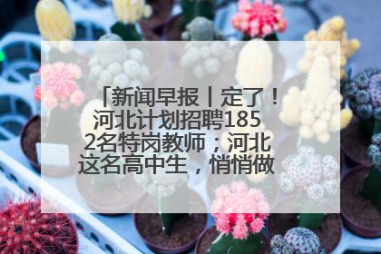 新闻早报丨定了！河北计划招聘1852名特岗教师；河北这名高中生，悄悄做了件超酷的事>>