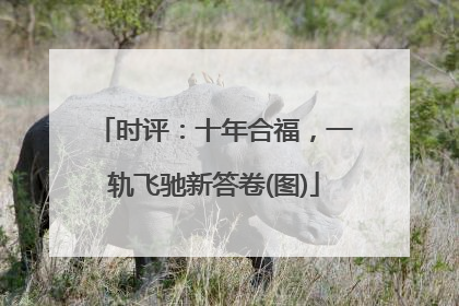时评：十年合福，一轨飞驰新答卷(图)