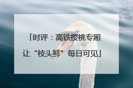 时评：高铁樱桃专厢 让“枝头鲜”每日可见