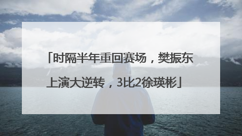 时隔半年重回赛场，樊振东上演大逆转，3比2徐瑛彬