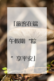 旅客在端午假期“粽”享平安
