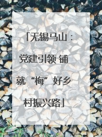 无锡马山：党建引领 铺就“梅”好乡村振兴路